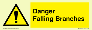 Danger Falling Branches